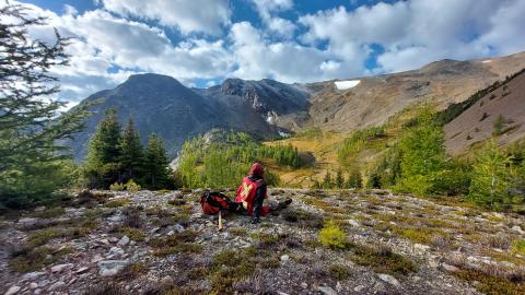 Exploration geologist amid the landscape of the Findlay Project in Southeast BC