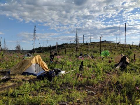 Pup Tents at the site of the 2018 Exploration Camp at the Olson Gold Project in Northern Saskatchewan