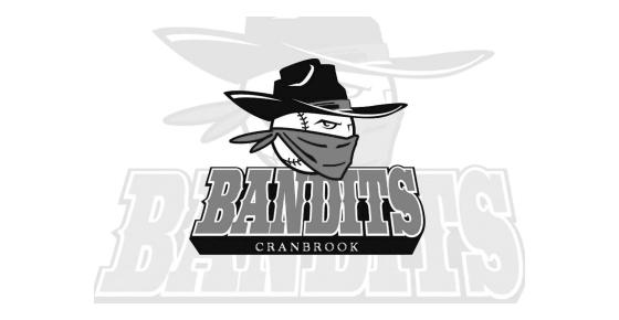 Logo for Rocky Mountain Bandits