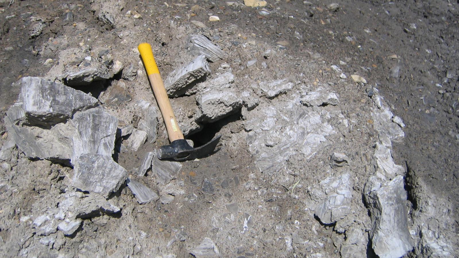 Gypsum mineralization at Eagle Plains Coyote Creek project in south east BC