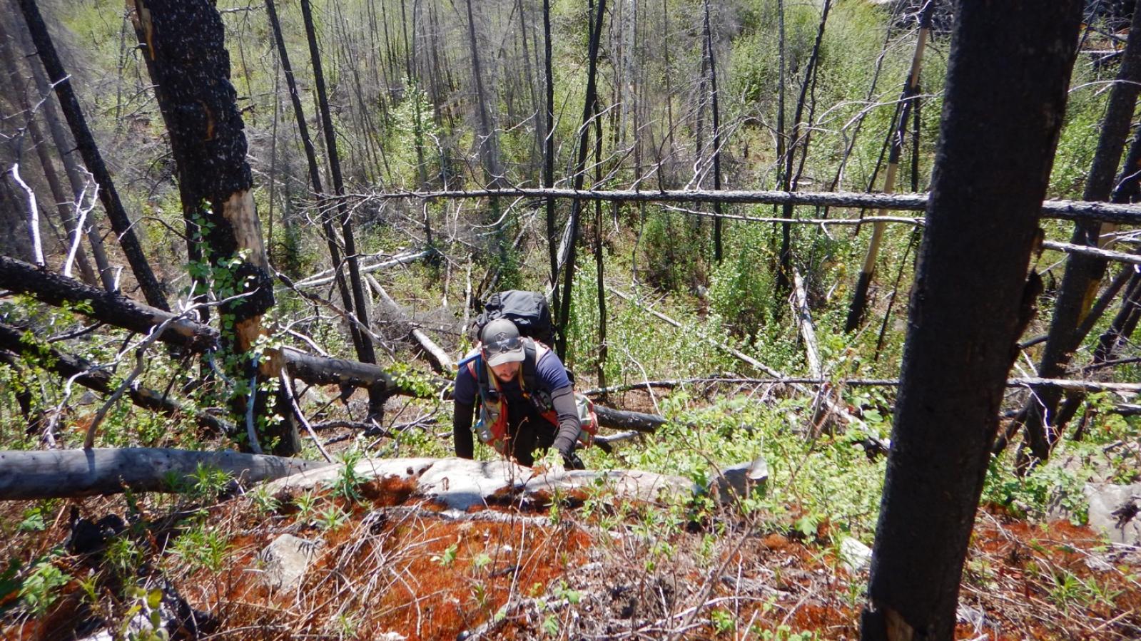 Prospecting for Uranium Mineralization in Northern Saskatchewan