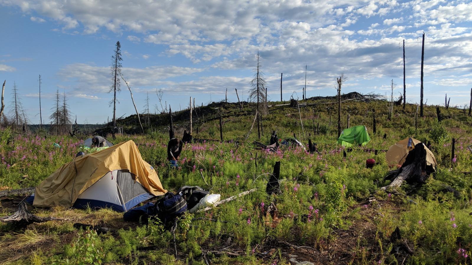 Pup Tents at the site of the 2018 Exploration Camp at the Olson Gold Project in Northern Saskatchewan