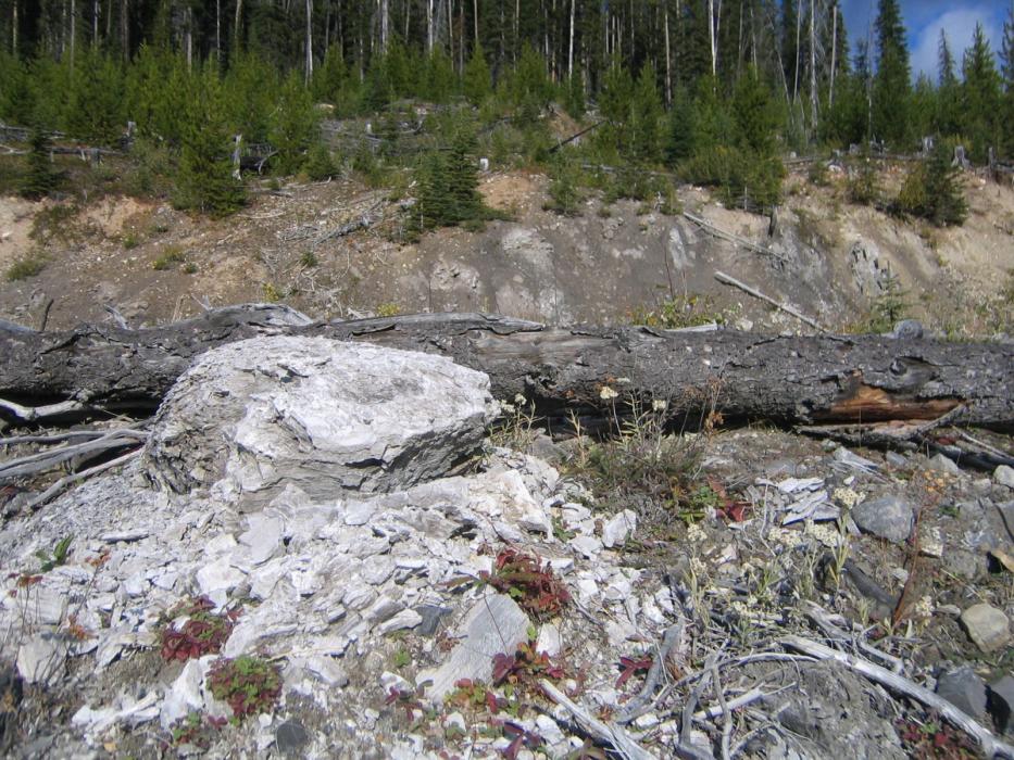 Coyote Creek Gypsum Deposit Outcrop