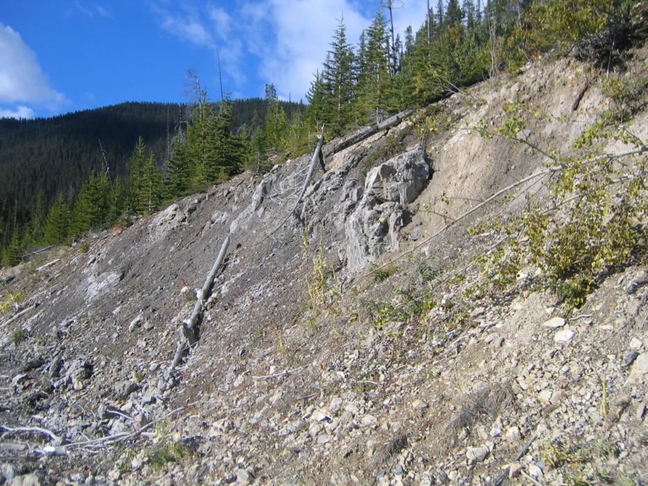 Coyote Creek Gypsum Deposit in Southeastern British Columbia