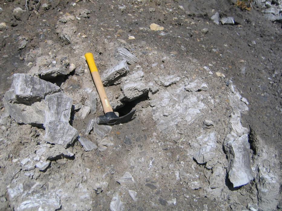 Sampling Gypsum Mineralization at the Coyote Creek Occurrence