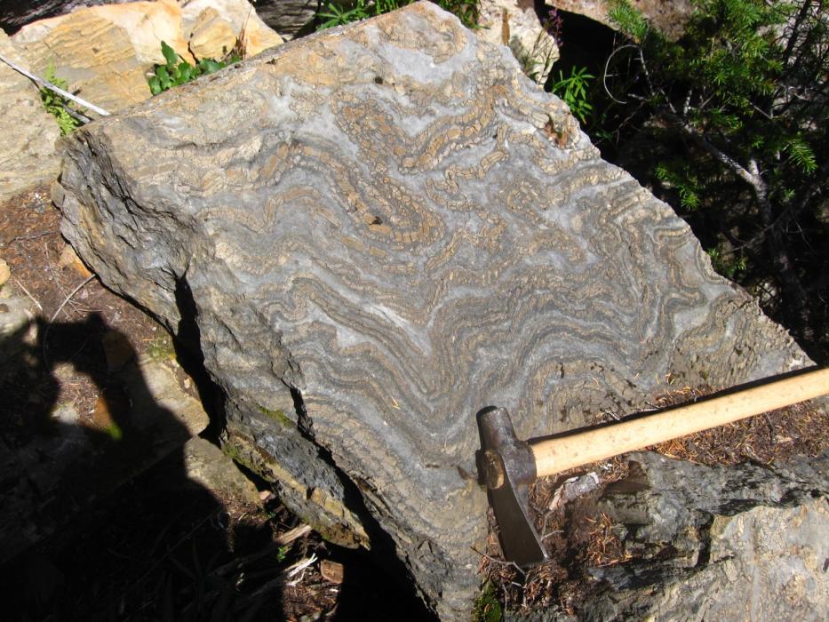 Deformed and altered limestone at Waterloo showing area - Ice River Complex