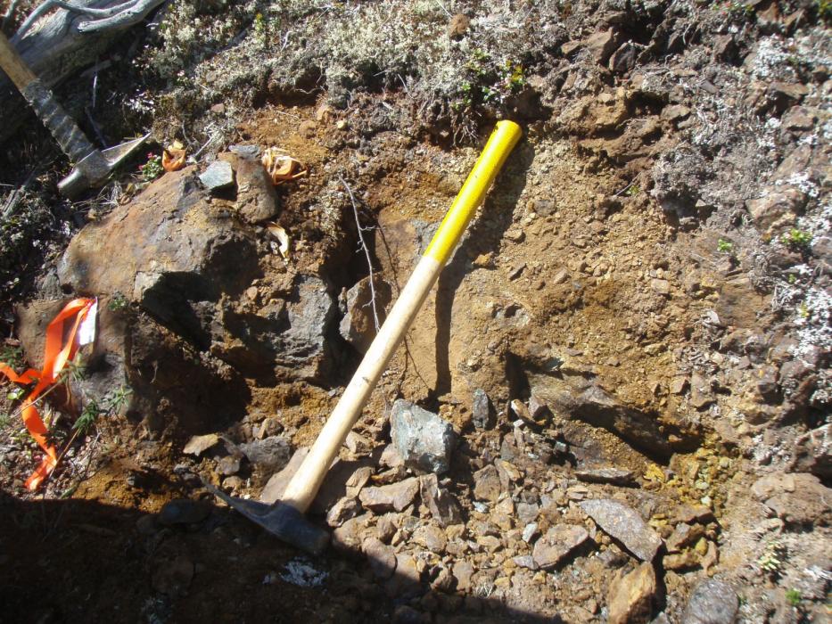 Dragon Lake Gold Project Soil Sample Pit 500m Northwest of Main Zone