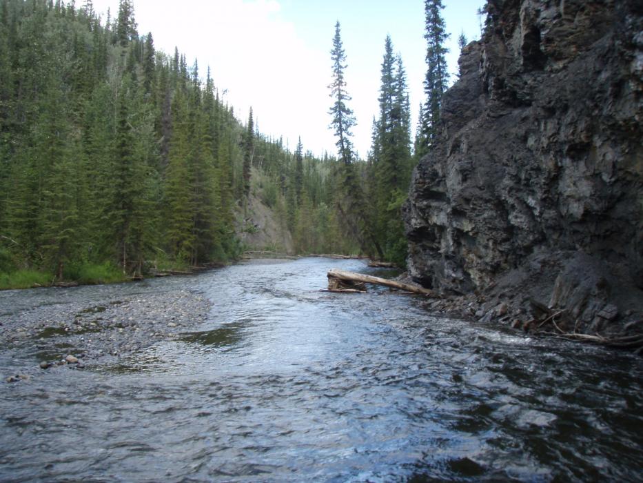 Good outcrop exposure along Fin Creek at the Fin Creek at the Finex Critical Mineral Exploration Project Yukon Territory