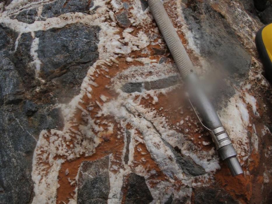 Hydrothermal Breccia with Qtz-Siderite Stockwork at Cirque Zone of the Kalum Property in Northwestern British Columbia