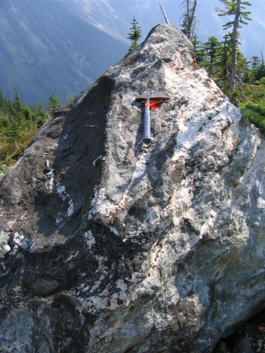 Niobium mineralization in skarn at the niobium anomaly of the Ice River Complex Project