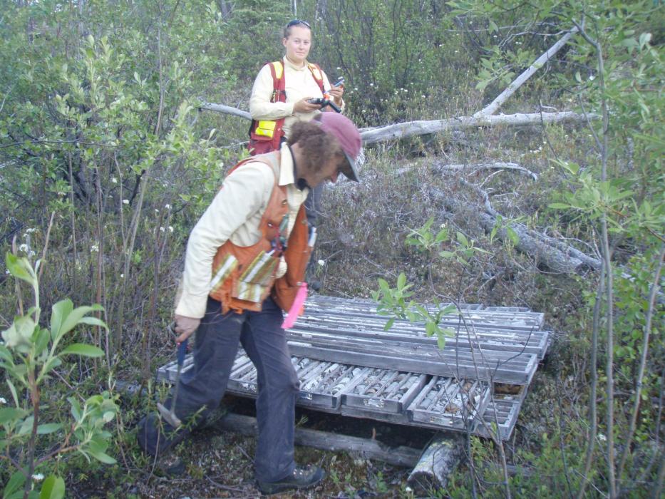Inspecting Historical Drill Core at the Dragon Lake Gold Exploration Project Yukon
