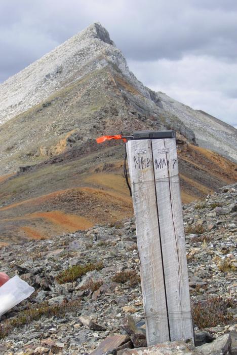 Old Mineral Claim Post on a Gossanous Ridge at the MM Critical Minerals Exploration Project Yukon Territory