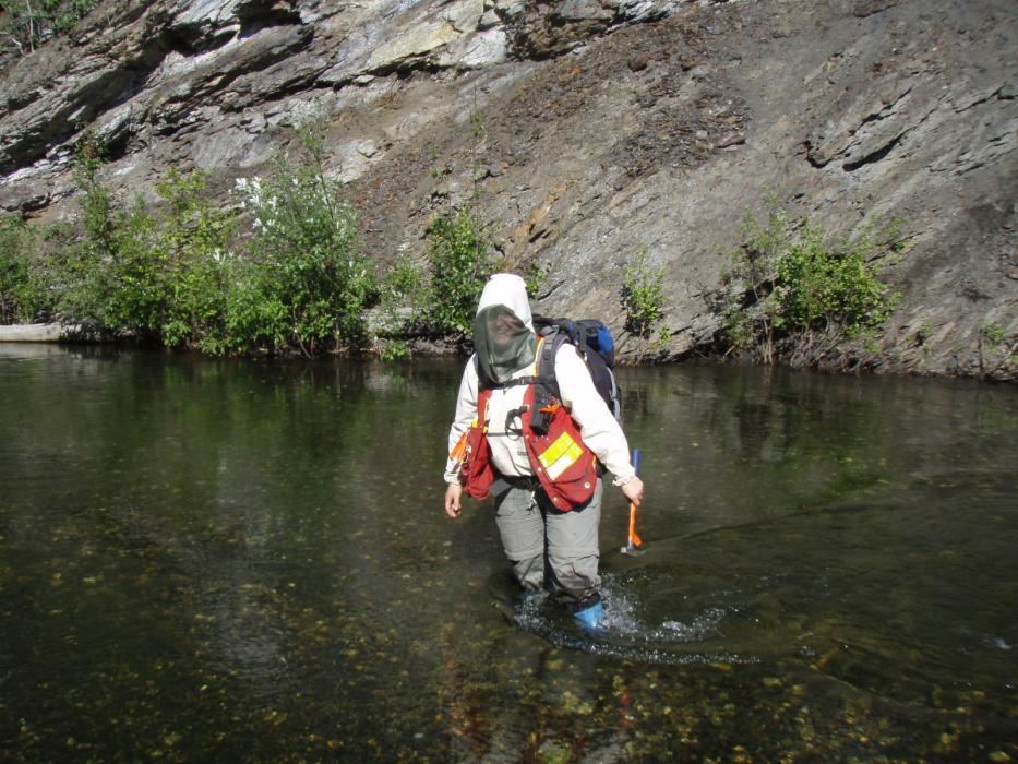 Prospecting near the Fin Creek Showing at the Finex Critical Mineral Exploration Project Yukon Territory