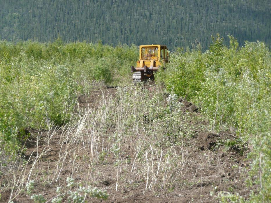 Reclaiming an Airstrip wtih a Caterpillar at the Rusty Springs Critical Metals Exploration Project in the Yukon