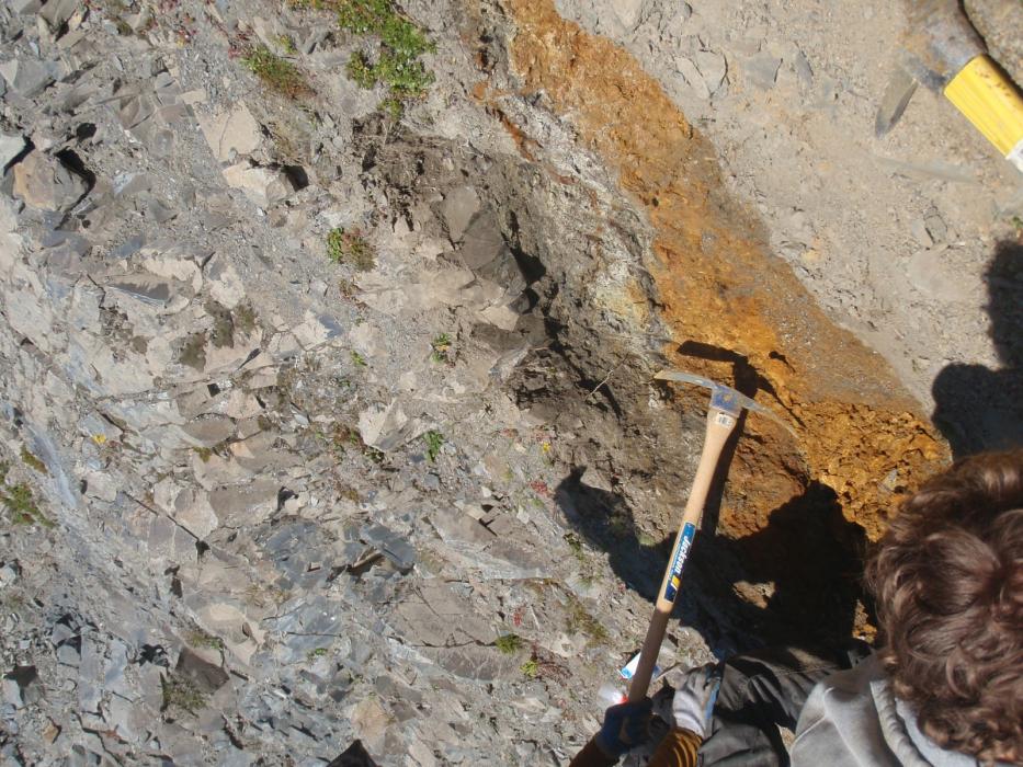 Sampling 1 oz per tonne soils at West Cu-Au Zone of the Elsiar Project in Northwestern British Columbia