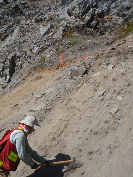 Sampling Underway in an area that returned a 1oz per tonne Gold in Soil Sample at West Cu-Au Zone of the Elsiar Project in Northwestern British Columbia