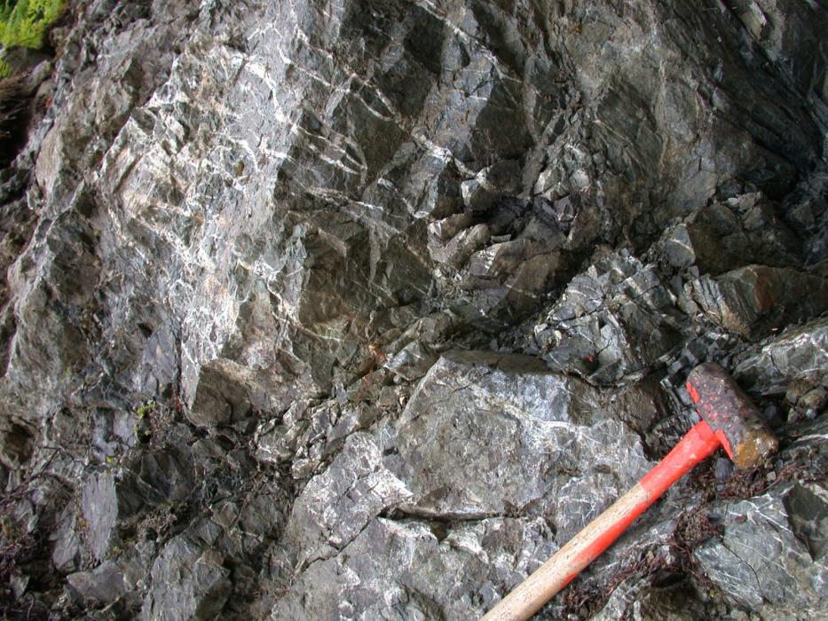 Veinlets of High-grade Gold at the Hat Showing of the Kalum Project in Northwestern British Columbia