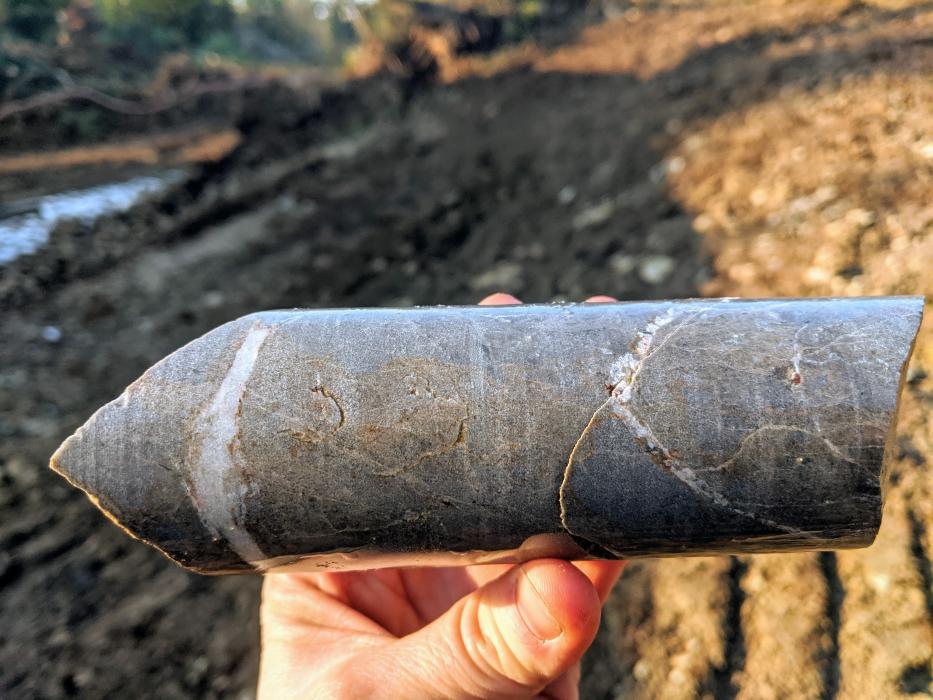 Drill Core from Donna Property 2019 - limestone with qtz-cal-py-po