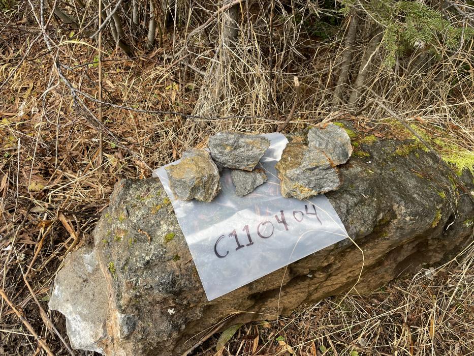 Mineralized Rock Sample from the A Zone area of the Lost Horse Property in the porphyry rich Quesnellia Terrane