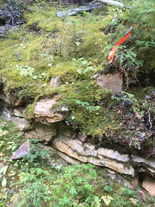 Slocan Graphite Project Mineralized Outcrop