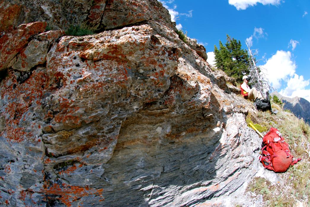 Rare Earth Element mineralization at the Ice River Complex of Southeast BC in 2012