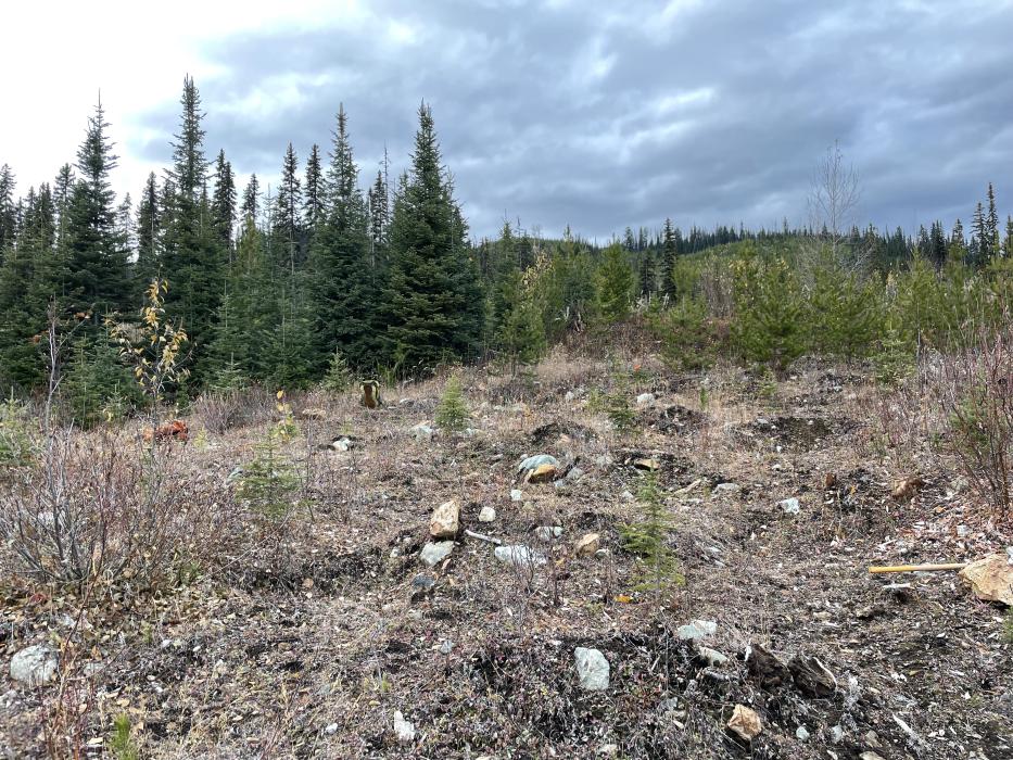 A Zone area at the Lost Horse Project in central British Columbia - A porphyry deposit target 