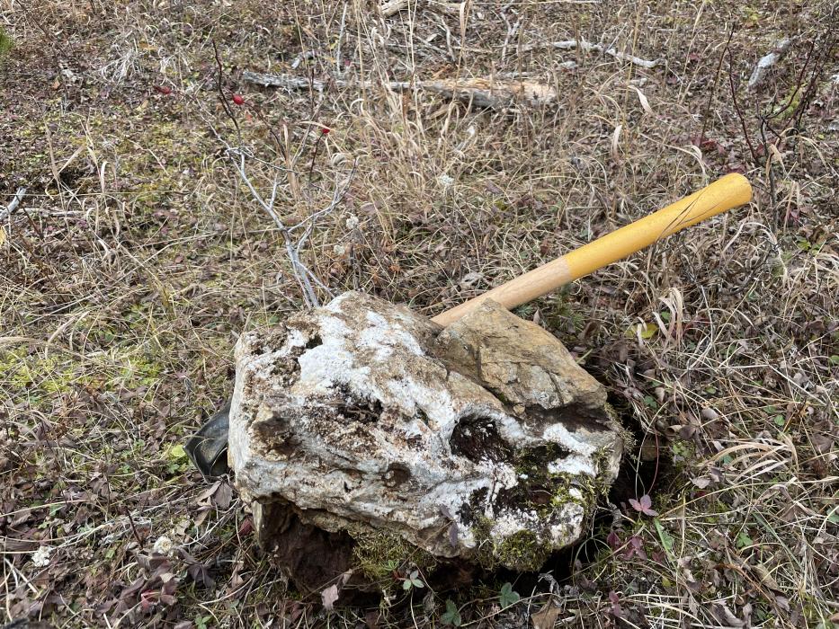 Rock Sample from the A Zone at the Lost Horse Project in central British Columbia