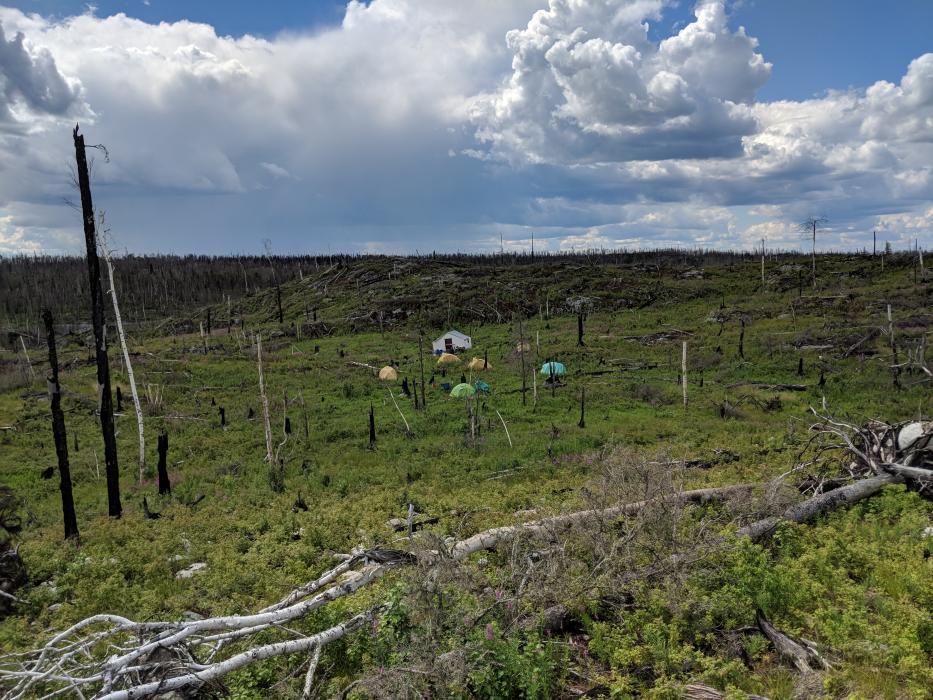 Site of reclaimed 2018 Exploration Camp at the Olson Gold Project in Northern Saskatchewan