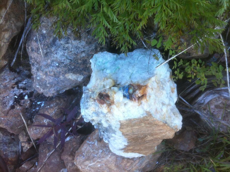 Copper Mineralization in float at Silver Spray