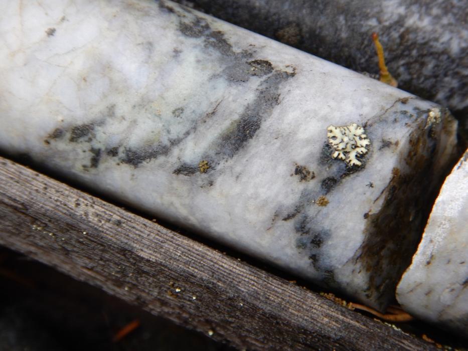 Mineralized Drill Core at Pine Channel - Northern Saskatchewan
