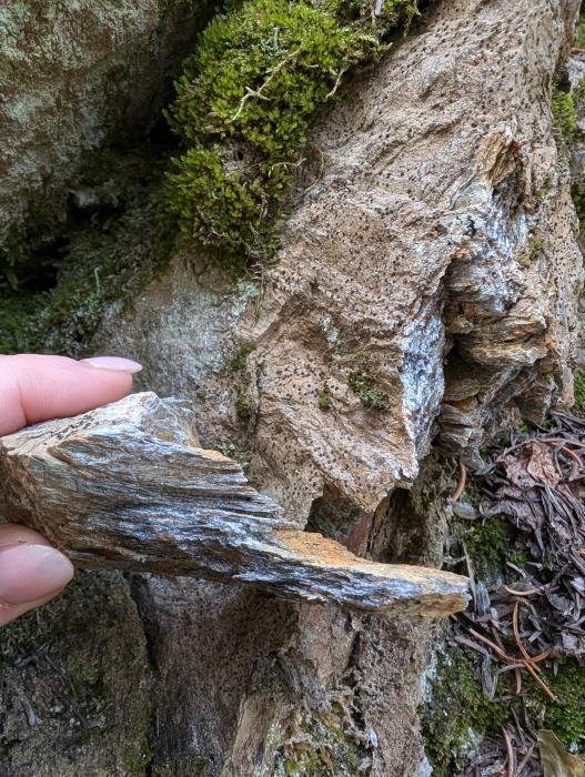 Phyllite host rock at the Snowstorm Property