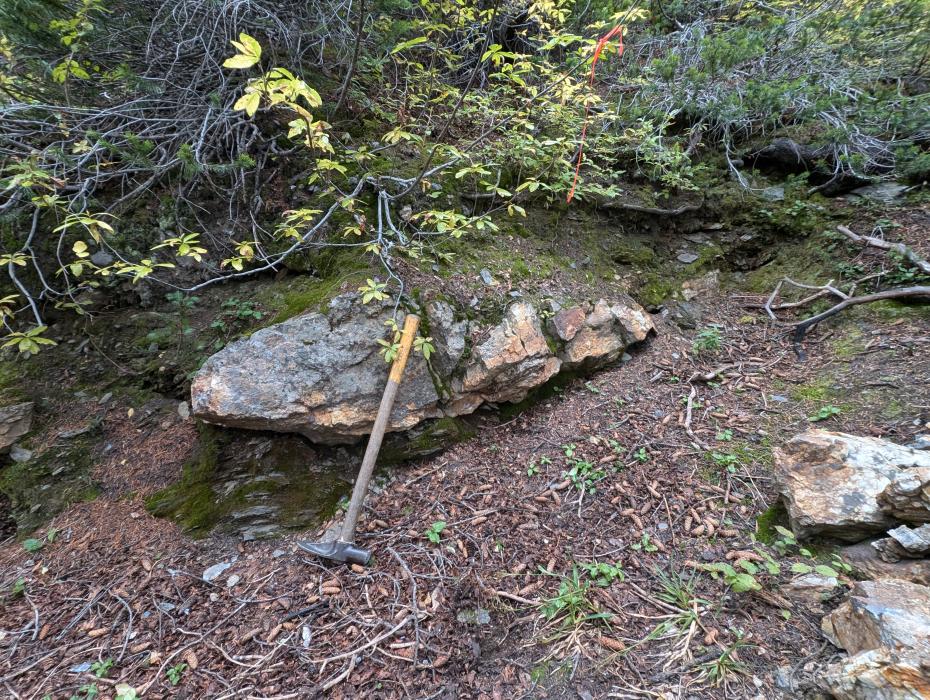 Quartz vein 25m east of White Eagle upper adit