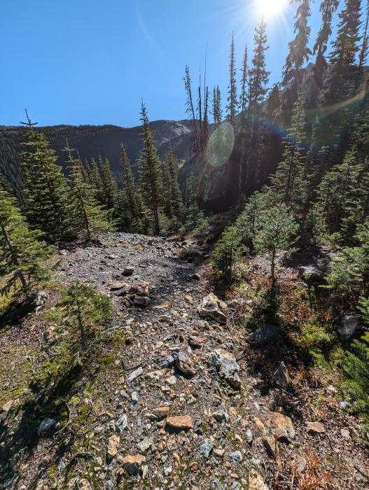 Quartz rubble outside of adit at the West Ridge Zone