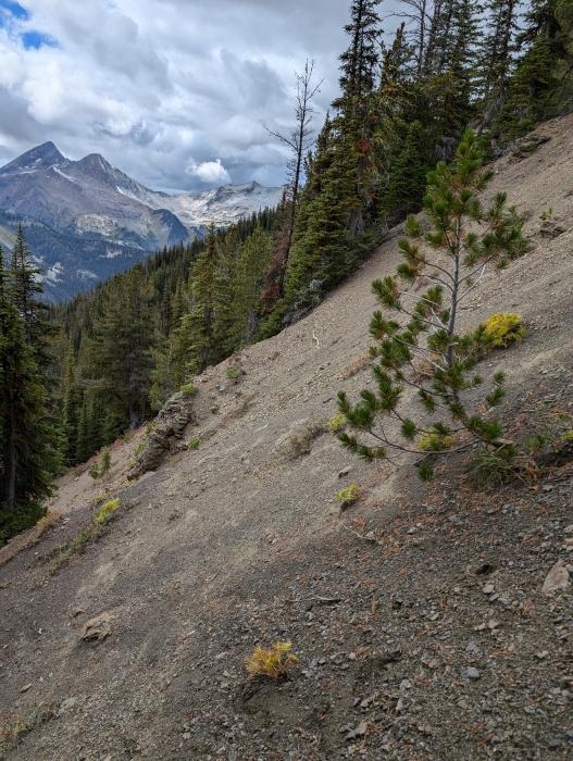 Steep slide path on way to lower White Eagle adit