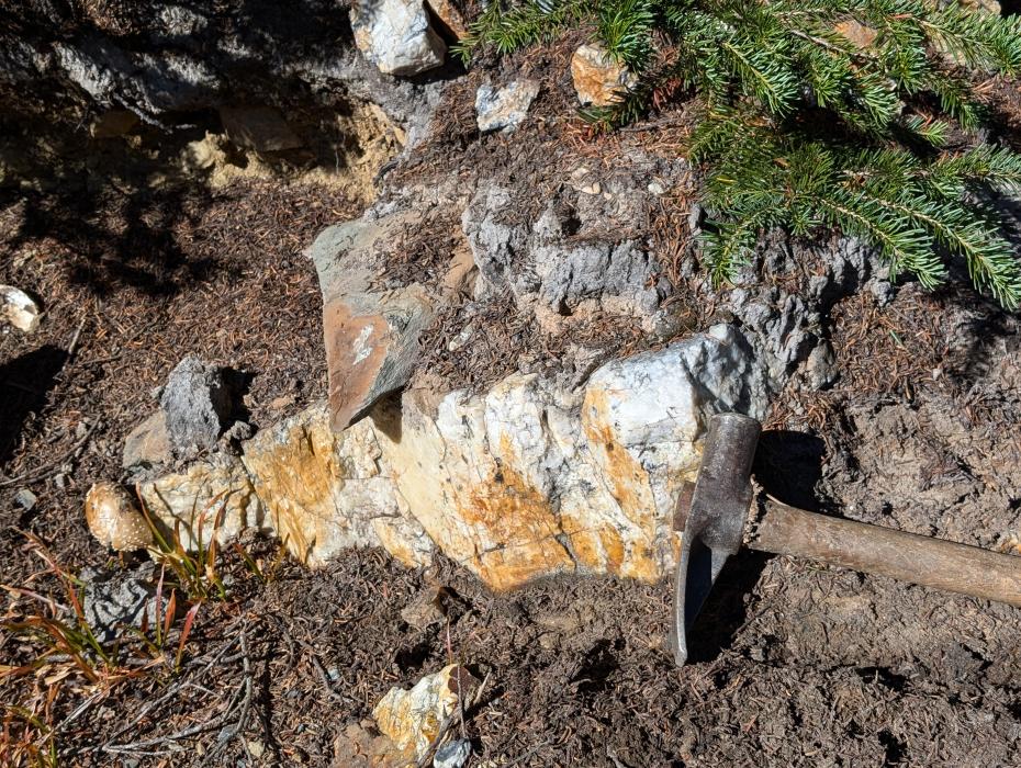 West Ridge Zone vein dipping into adit