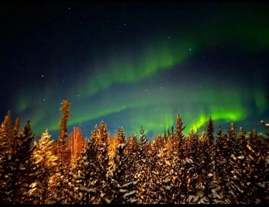 A snowy forest with northern lights in the background