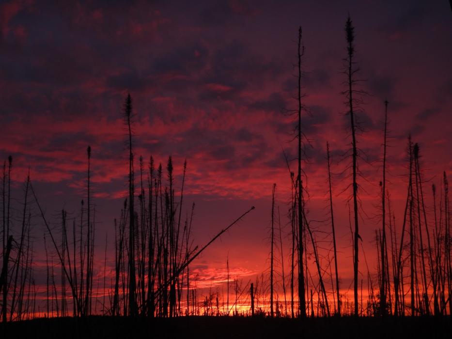 A Red Saskatchewan Sunrise