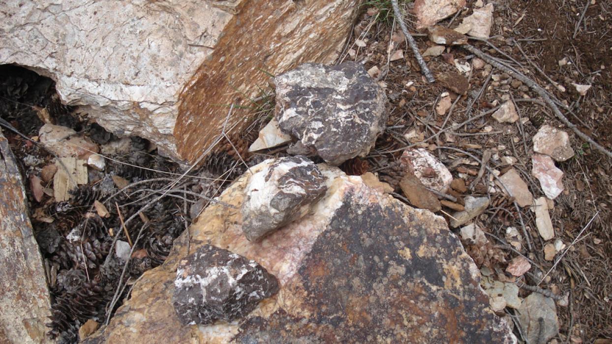 Sphalerite Mineralization in Rock Sample at the Black Diamond Project in Southeastern British Columbia