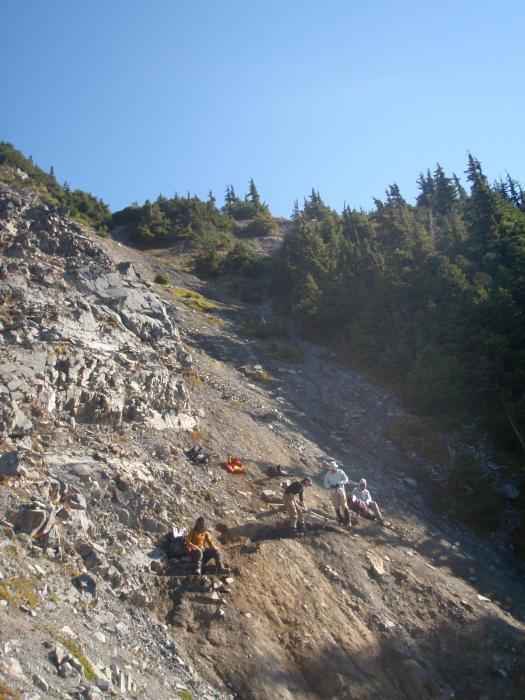 Area of Sampling Program where a Soild Sample Returned 1oz per tonne at the West Cu-Au Zone of the Elsiar (LCR) Project in Northwestern British Columbia